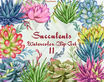 Succulent Watercolor Clipart. Houseplants Watercolor Clip Art. Cacti Clip Art. Gardening plant. Succulents Boho wedding. PNG