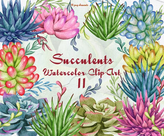 Succulent Watercolor Clipart. Houseplants Watercolor Clip Art. Cacti Clip  Art. Gardening Plant. Succulents Boho Wedding. PNG - Etsy