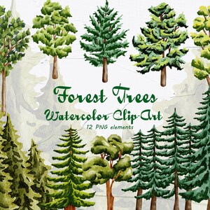 Clipart degli alberi della foresta. Clipart ad acquerello dell'albero. Illustrazioni del bosco. Acquerello Alberi di pino Clipar. Invito al matrimonio nella foresta PNG WCC