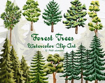 Clipart des arbres forestiers. Clipart aquarelle d’arbre. Illustrations de bois. Aquarelle Pins Clipar. Invitation de mariage en forêt PNG WCC