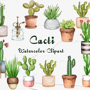 Clipart aquarela de cacto. Clipart aquarela suculento. Clipart aquarela de plantas de casa. Clipart de cactos. Planta de jardinagem. Vasos de plantas