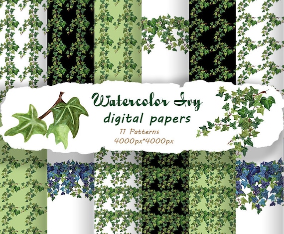 Efeu Digitales Papier. Efeu Clipart. Efeu Tapete Clipart. Poison Ivy  Scrapbooking Clipart, Blattlaub, Aquarell Efeu Ranken Muster. - Etsy.de