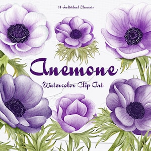 Anemone Clipart. Fiolet, Kwiaty Anemone. Clipart ślubny. Bukiet Anemone. Akwarela kwiatowa. Anemone Aquarelle Digital. Bardzo Peri