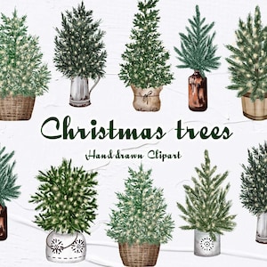 Clipart ad acquerello dell'albero di Natale. Acquerello Pine Tree clipart. Albero di Natale ad acquerello. Agriturismo Natale. WinterClipart. Foresta