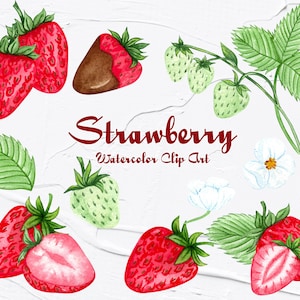 Clipart aquarelle à la fraise. Illustration de fraises. Clipart fraise d’été. Aquarelle des baies. Fraises douces PNG
