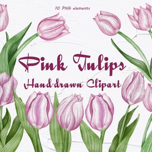 Tulipani Clipart. Fiori di tulipano rosa. Clipart di nozze. Tulipani primaverili. Acquerello Acquerello floreale. Tulipani Aquarelle Digitale. Festa della mamma