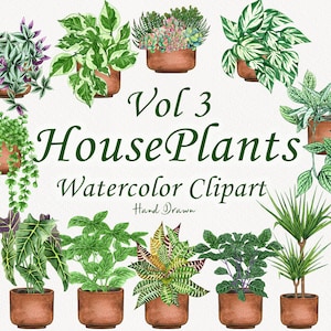Clipart de acuarela de plantas de interior. Imágenes prediseñadas de plantas en maceta. Clipart de plantas de interior. Amor por las plantas de interior. Imágenes Prediseñadas de cactus. Imágenes prediseñadas de jardín. Plantas PNG V3