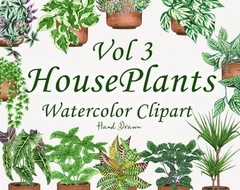 Op de afbeelding: Waterverf clipart set van 10 kamerplanten in potten. De planten zijn met de hand getekend en omvatten een verscheidenheid aan soorten, zoals slangplant, ZZ-plant en monstera. De set is perfect om een vleugje groen toe te voegen aan je digitale projecten.