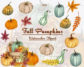 Pumpkin Watercolor  Clipart. Autumn Clip Art. Fall Pumpkins Illustration. Harvest Clip Art. Watercolor Pumpkinsclipart. Autumn Garden. PNG