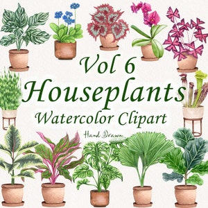 Clipart aquarelle de plantes d'intérieur. Clipart de plantes en pot. Clipart de plantes d'intérieur. Amoureux des plantes d'intérieur. Clipart cactus. Clipart jardin. Plantes PNG 6