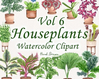 Op de afbeelding: Een set van 10 aquarel illustraties van verschillende kamerplanten in potten. De planten omvatten een slangplant, een monstera, een vioolbladplant, een gebedsplant, een vredeslelie, een philodendron, een spinplant, een pothos, een ZZ-plant en een cactus. De illustraties zijn met de hand getekend en hebben een vintage uitstraling.