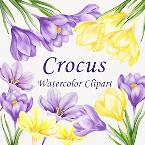 Peut inclure: Clipart aquarelle de crocus violets et jaunes. Les fleurs sont disposées en cercle autour du texte "Crocus Watercolor Clipart".