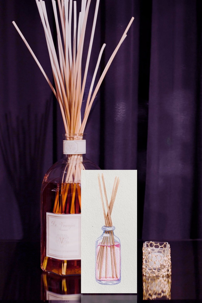 May include: A watercolor illustration of a diffuser bottle with wooden sticks. The bottle is filled with a pink liquid and the sticks are partially submerged. The illustration is on a white background.