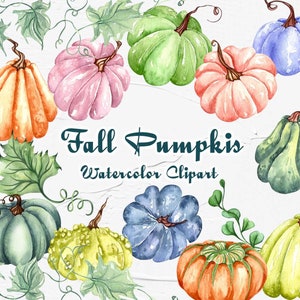 Pumpkin Watercolor Clipart. Thanksgiving Clipart. Autumn Clipart. Rustic Pumpkins Clipart. Harvest Clipart. Pumpkins Clipart. Fall PNG