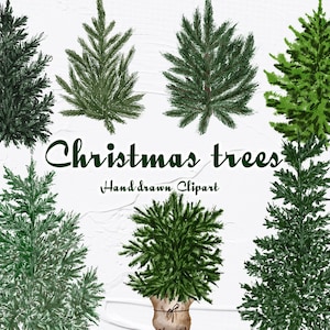 クリスマスツリーの水彩画のクリップアート。水彩画の松の木のクリップアート。水彩画のクリスマスツリー。農家のクリスマス。冬のクリップアート。森