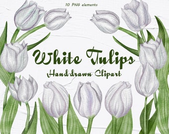 Tulipanes Clipart. Flores de tulipán blanco. Imágenes prediseñadas de boda. Tulipanes de primavera. Acuarela Floral Acuarela. Tulipanes Aquarelle Digital. Día de la Madre