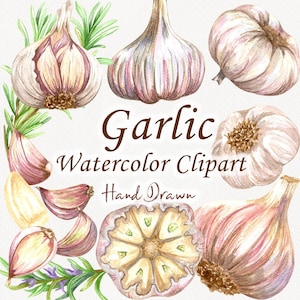 May include: A watercolour illustration of garlic bulbs and cloves. The image includes whole garlic heads, cloves, and a cross-section, with the word "Garlic" in a brown script font. Green sprigs of rosemary are also included.