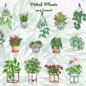 Växtälskare. ClipArt för krukväxter. Akvarell clipart för krukväxter. ClipArt för heminredning. Krukväxter PNG bild 2