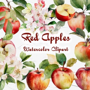 Apple Watercolor Clipart Harvest Set. Ilustração de macieira. Summer Farm Clipart. Jardinagem Farmhouse Clipart