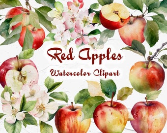 May include: Watercolour clipart featuring red apples with green leaves and white blossoms. The text "Red Apples Watercolor Clipart" is written in red.