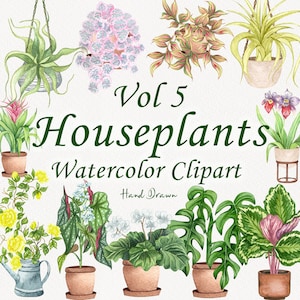 Plantas de casa Clipart de aquarela. Plantas em vasos clipart. Plantas de interior Clipart. Amor de planta de casa PNG. Cactos Clipart. Jardim Clipart. Plantas PNG