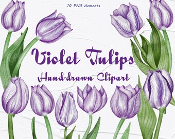 Tulips Clipart. Violet tulip Flowers. Wedding Clipart. Spring Tulips. Watercolor Floral Watercolor. Tulips Aquarelle Digital. Mothers day
