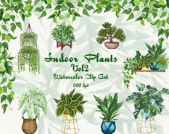 Kamerplanten Clipart. Potplanten. Kamerplanten aquarel illustraties. Cactussen Clip Art voor directe download. Planten, png. Handgetekende clipart