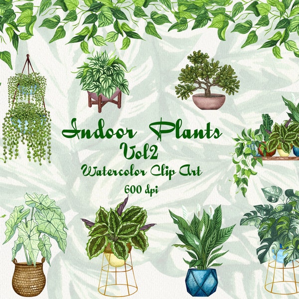 House plants Clip Art. Indoor Plants Watercolor Clip Art. Cacti Clip Art for instant download. Transparent PNG