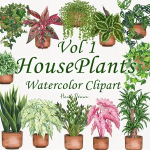 Clipart aquarela de plantas de casa. Clipart de plantas em vasos. Clipart de plantas de interior. Amor de planta de casa. Clipart de cactos. Clipart de jardim. Plantas PNG V1