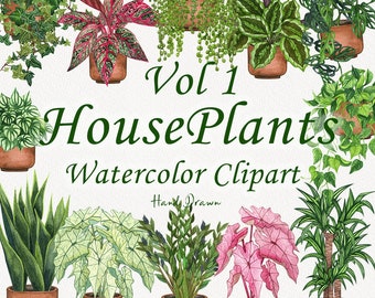Op de afbeelding: Een set van 10 aquarel illustraties van verschillende kamerplanten in potten. De planten zijn met de hand getekend en omvatten een verscheidenheid aan kleuren en texturen. De titel "Vol 1 House Plants Watercolor Clipart" staat in groene tekst bovenaan de afbeelding.