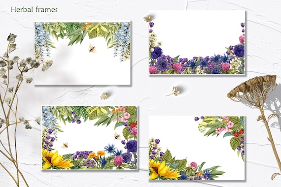 Herbs Watercolor Clipart. Watercolor Wild Flowers Clipart, Wild Herbs  Clipart. Sunflower, Wisteria, Clover, Lavender, Thistle, Dandelion -   Australia