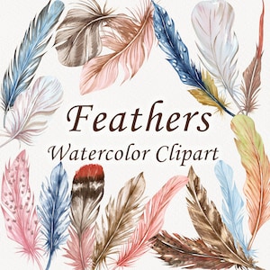 Imágenes prediseñadas de plumas de acuarela. Imágenes prediseñadas de plumas. Imágenes prediseñadas de plumas bohemias. Imágenes prediseñadas de pájaros naturales. Imágenes prediseñadas de boda. PNG