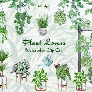 Amantes de Plantas. Plantas de casa Clip Art. Plantas de Interior Aquarela Clip Art. Decoração de Casa Clip Art. Plantas em Vaso PNG