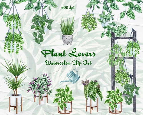 Plant Lovers. House plants Clip Art. Indoor Plants Watercolor Clip Art. Homedecor Clip Art. Potted Plants PNG