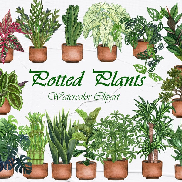 Houseplants Watercolor Clipart. Potted plants clipart. Indoor Plants Clipart. Houseplant Love PNG. Cacti Clipart PNG. Garden House Clipart