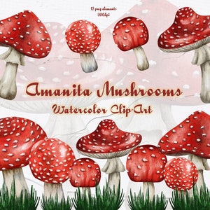 Clipart aquarelle de champignons amanite. Automne champignon Clipart. Illustration de champignon rouge. Amanite musquée Clipart. Champignons d'Halloween