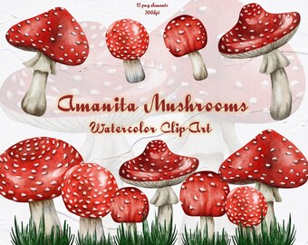 Amanita Mushrooms Watercolor Clipart. Autumn mushroom Clipart. Red mushroom Illustration. Amanita Muskaria Clipart. Halloween mushrooms