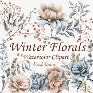 Clipart aquarelle de fleurs d'hiver. Illustration botanique d'hiver. Clipart fleurs séchées.  Ensemble floral neutre. Bleu d'hiver. PNG dessiné à la main