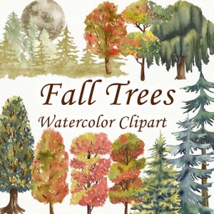 Clipart d'arbres forestiers d'automne. Clipart aquarelle d'arbre. Illustrations de la forêt. Pins à l'aquarelle. Mariage dans la forêt d'automne PNG
