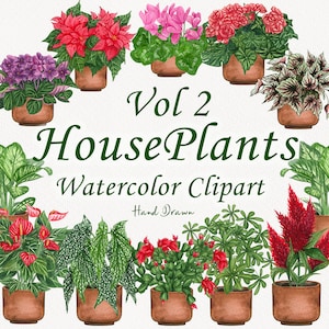 Clipart aquarelle de plantes d'intérieur. Clipart de plantes en pot. Clipart de plantes d'intérieur. Amour de plante d'intérieur. Clipart cactus. Clipart jardin. Plantes PNG V2