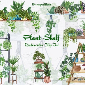 Plantas de casa aquarela clipart. Prateleira de plantas. Casa Boho. Clipart aquarela de plantas de interior. Planta de casa em aquarela. Vegetação da planta Boho. png