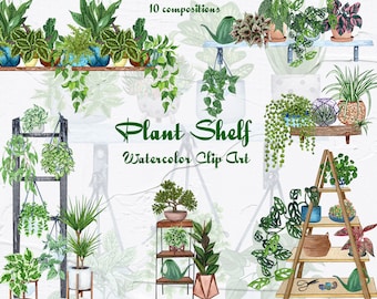 Krukväxter akvarell Clipart. Växthylla. Boho Hause. Inomhusväxter akvarell Clipart. Akvarell krukväxt. Boho växtgrönt. PNG