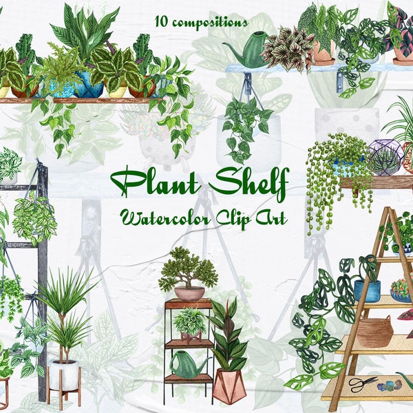 House plants Watercolor Clipart. Plant shelf. Boho Hause. Indoor Plants Watercolor Clipart. Watercolor Houseplant. Boho Plant greenery. PNG