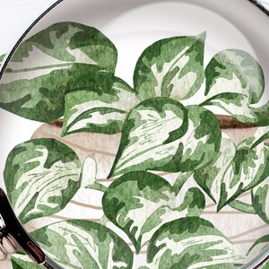 Pothosväxter Clipart. Krukväxter Clipart. Inomhusväxter Akvarell Clipart. Akvarell Pothos Typer. Krukväxter PNG bild 4