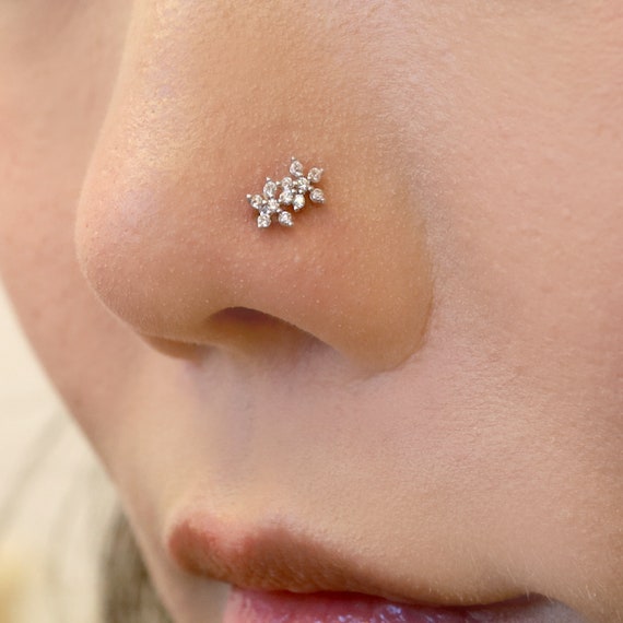 Nose ring 2024 with two studs