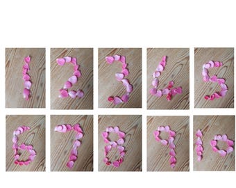 Pink Petal Number Flashcards 1-10 – Educational Math Resources (Digital Download)