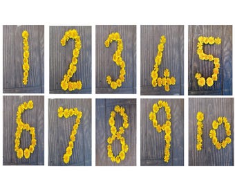 Yellow flower number flashcards -  EYFS digital resource - Counting 1 to 10