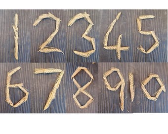 harvest Autumn theme - corn numbers 1 to 10 - counting flashcards