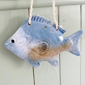 Peut inclure: Ornement en céramique en forme de poisson, avec un glaçage bleu clair et beige, suspendu à une ficelle en fibre naturelle. Le poisson a des nageoires détaillées et une surface texturée, parfait pour la décoration côtière. Mesure environ 10 cm de long.