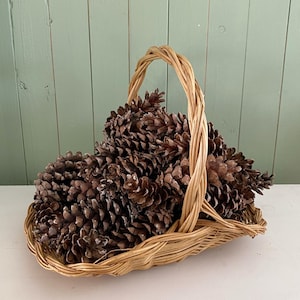 Może przedstawiać: Wiklinowy kosz wypełniony licznymi brązowymi szyszkami. Kosz z zakrzywionym uchwytem stoi na białej powierzchni na tle jasnozielonego drewnianego tła. Szyszki mają różne rozmiary i kształty.